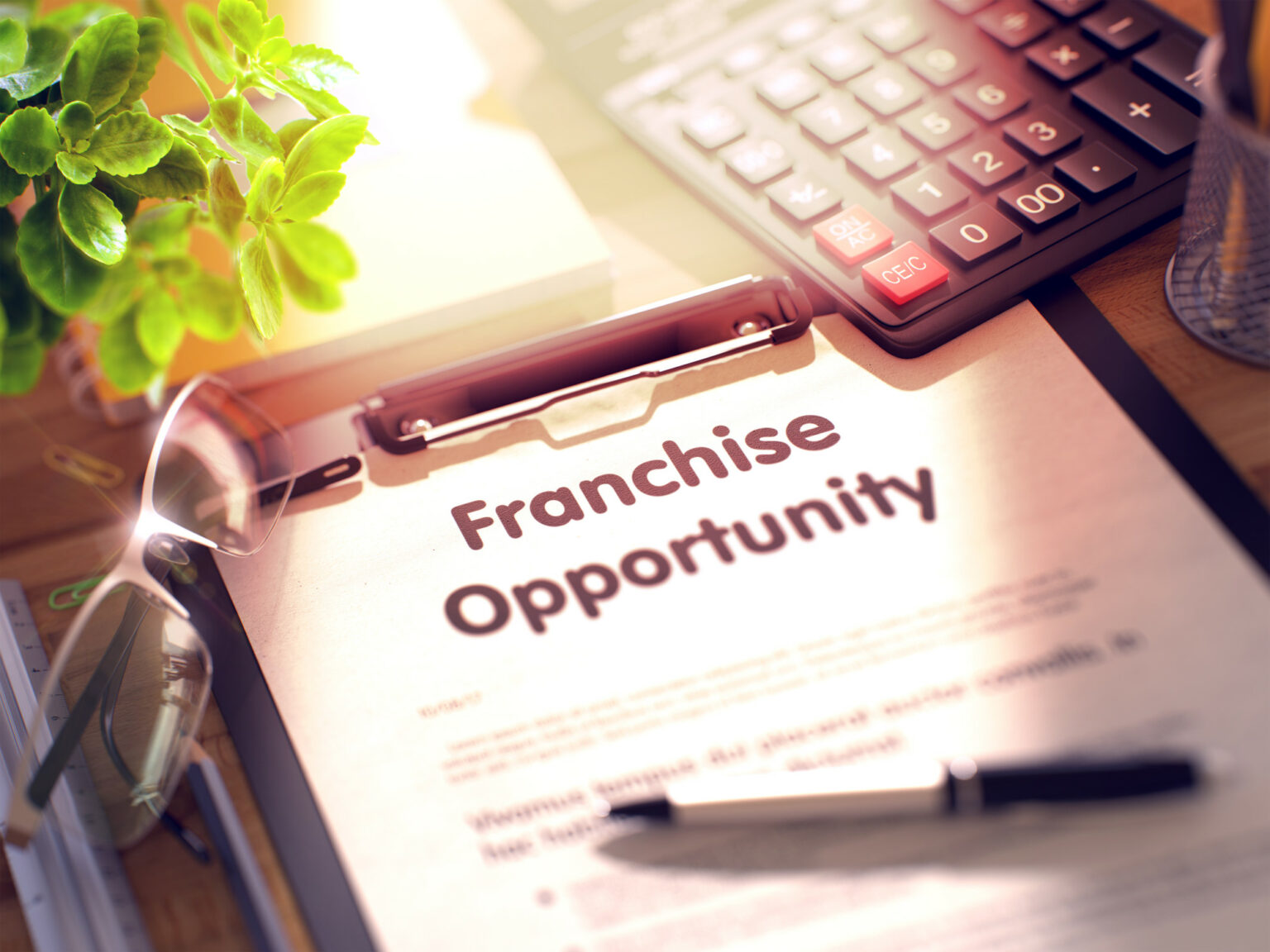 Benefits of Owning a Franchise