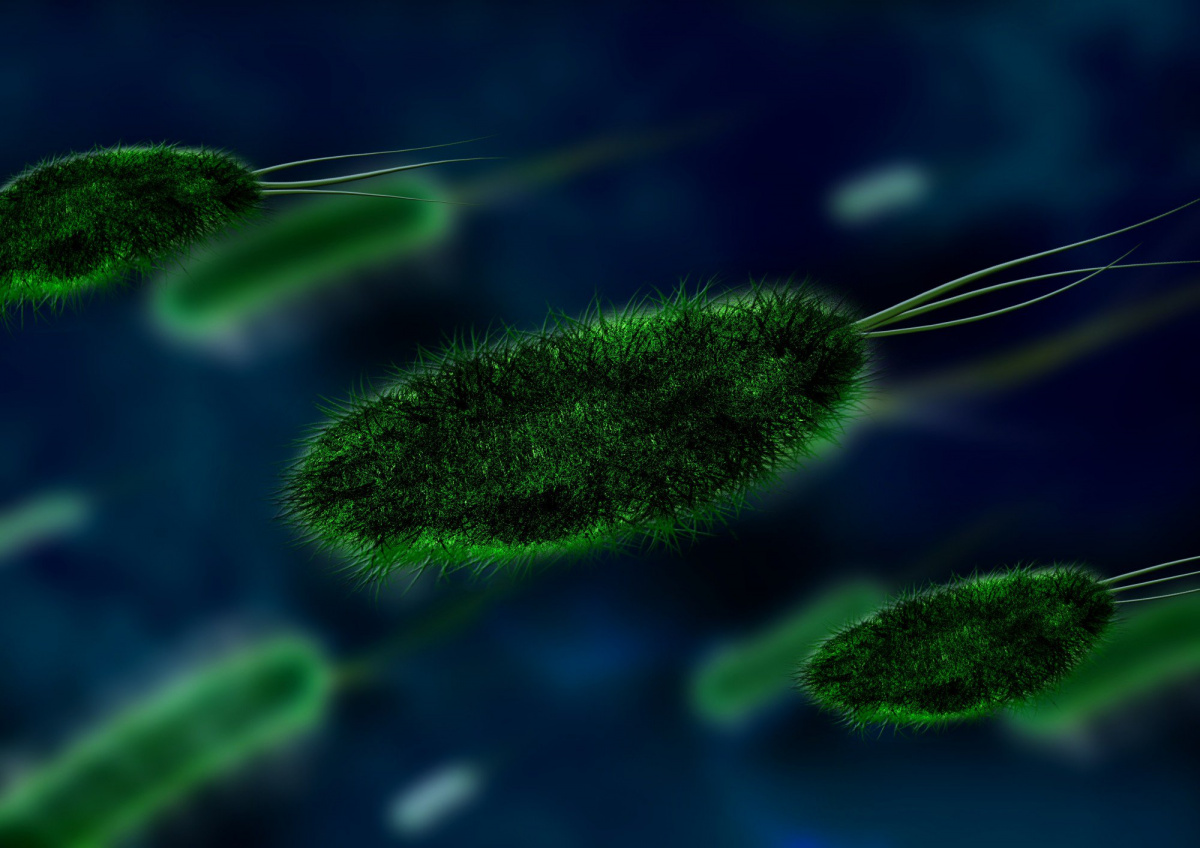 Where Do Germs Come from in Your Facility? 10 Hiding Places