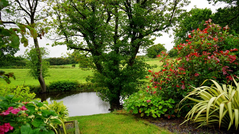 Fall into Autumn with a Commercial Landscaping Maintenance Checklist