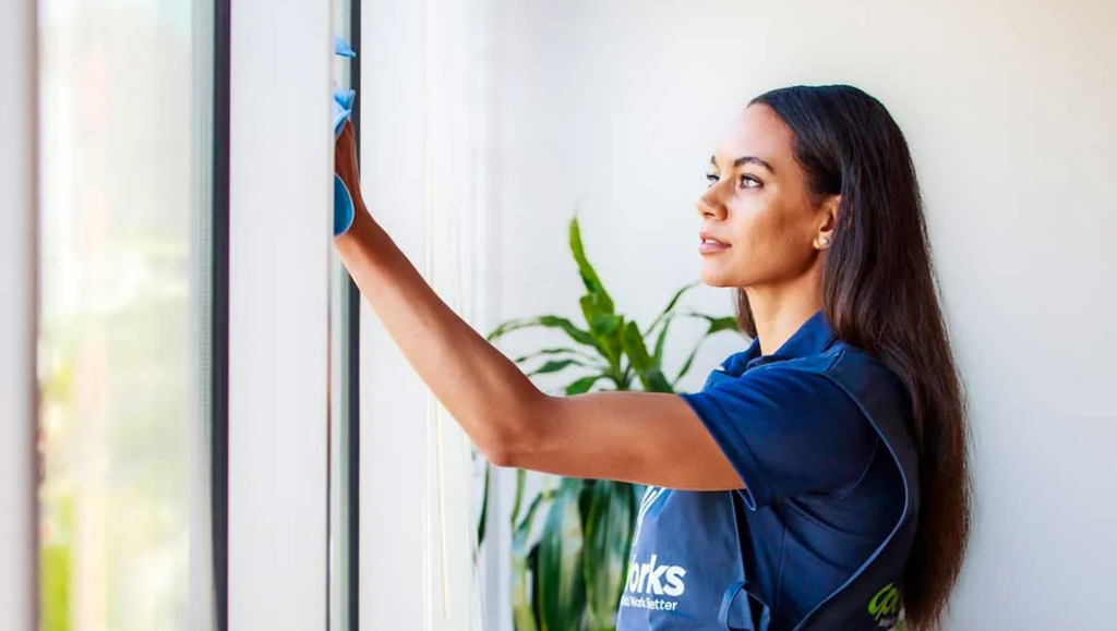 Window Cleaning